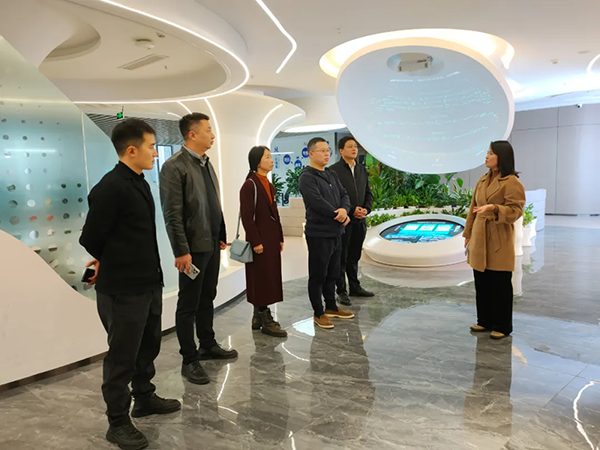 20241203111854_46551 尊龙凯时-人生就是搏中国官方网站